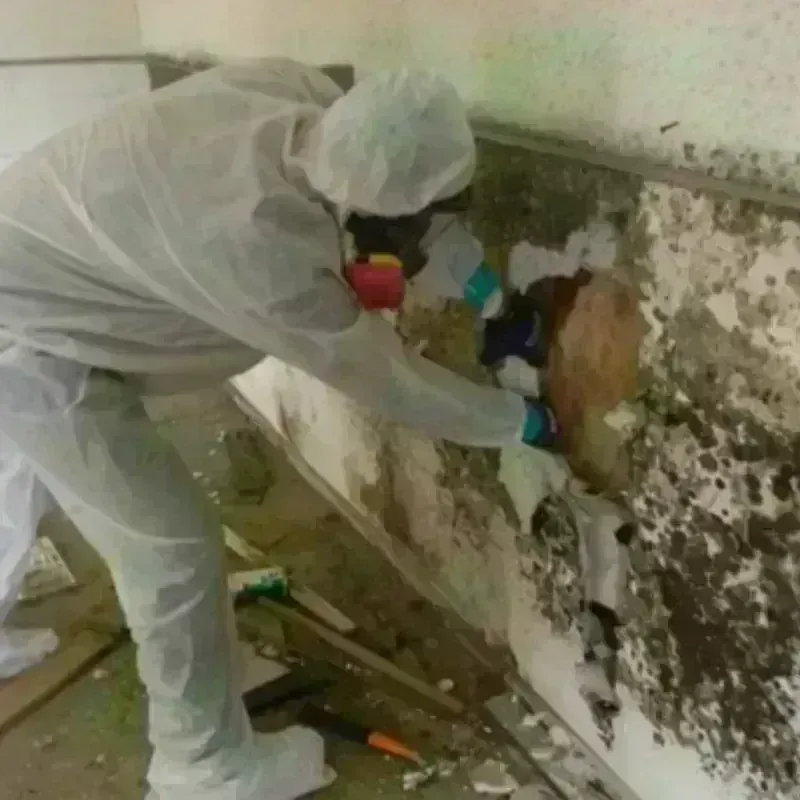 Mold Remediation and Removal in Ayer, MA