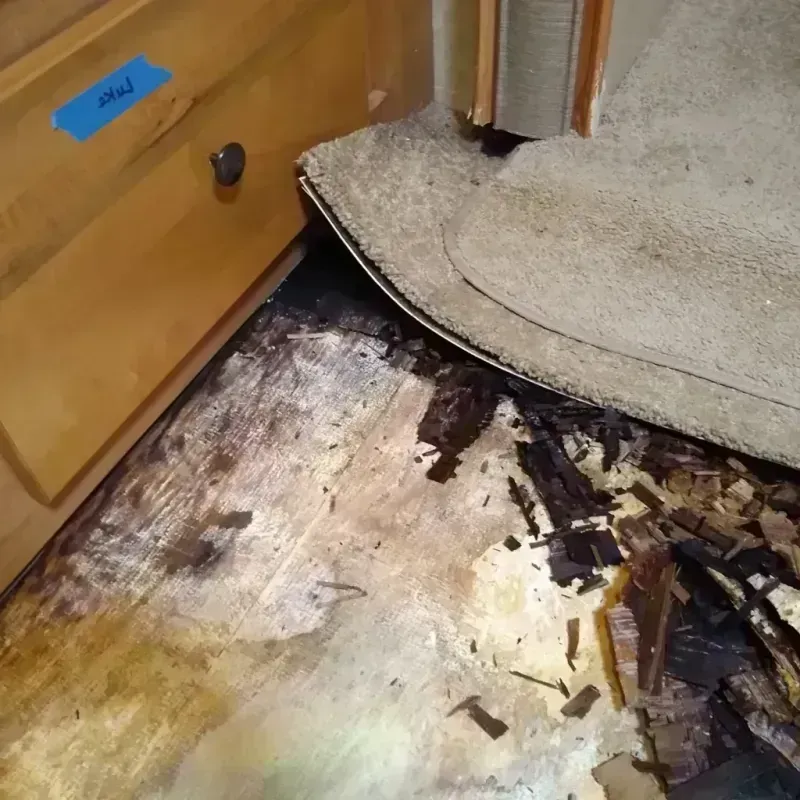 Best Wood Floor Water Damage Service in Ayer, MA